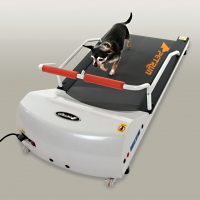 PR700 – Toy Breed TreadMill