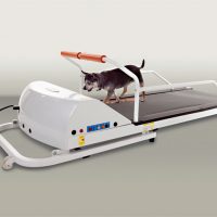 PR710F – Toy-Small Breed TreadMill