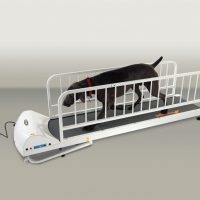 PR725 – Large Breed TreadMill