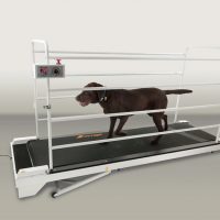 PR730 – Giant Breed Model PR730 TreadMill