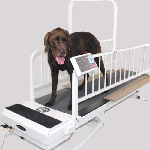 PR850 – ProRehab Model TreadMill