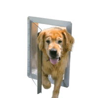 dog-vue-door